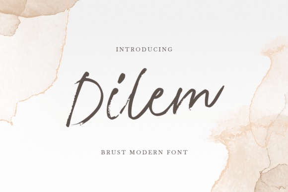 Dilem Font Review: Elegant Script for Web Design