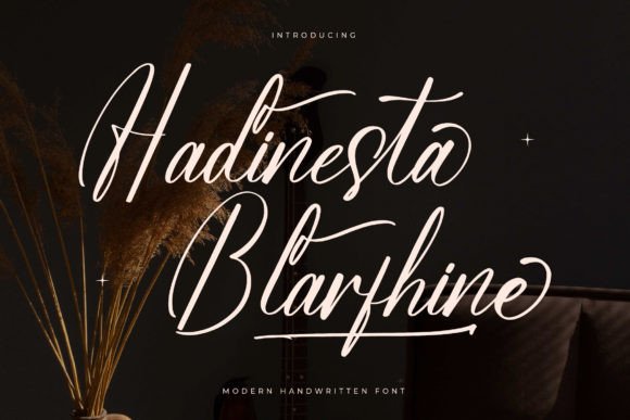 Hadinesta Blarfhine Font: A Web Designer’s Layout Review