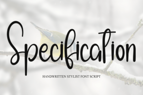 Specification Font: A Playful Handwritten Typeface for Branding